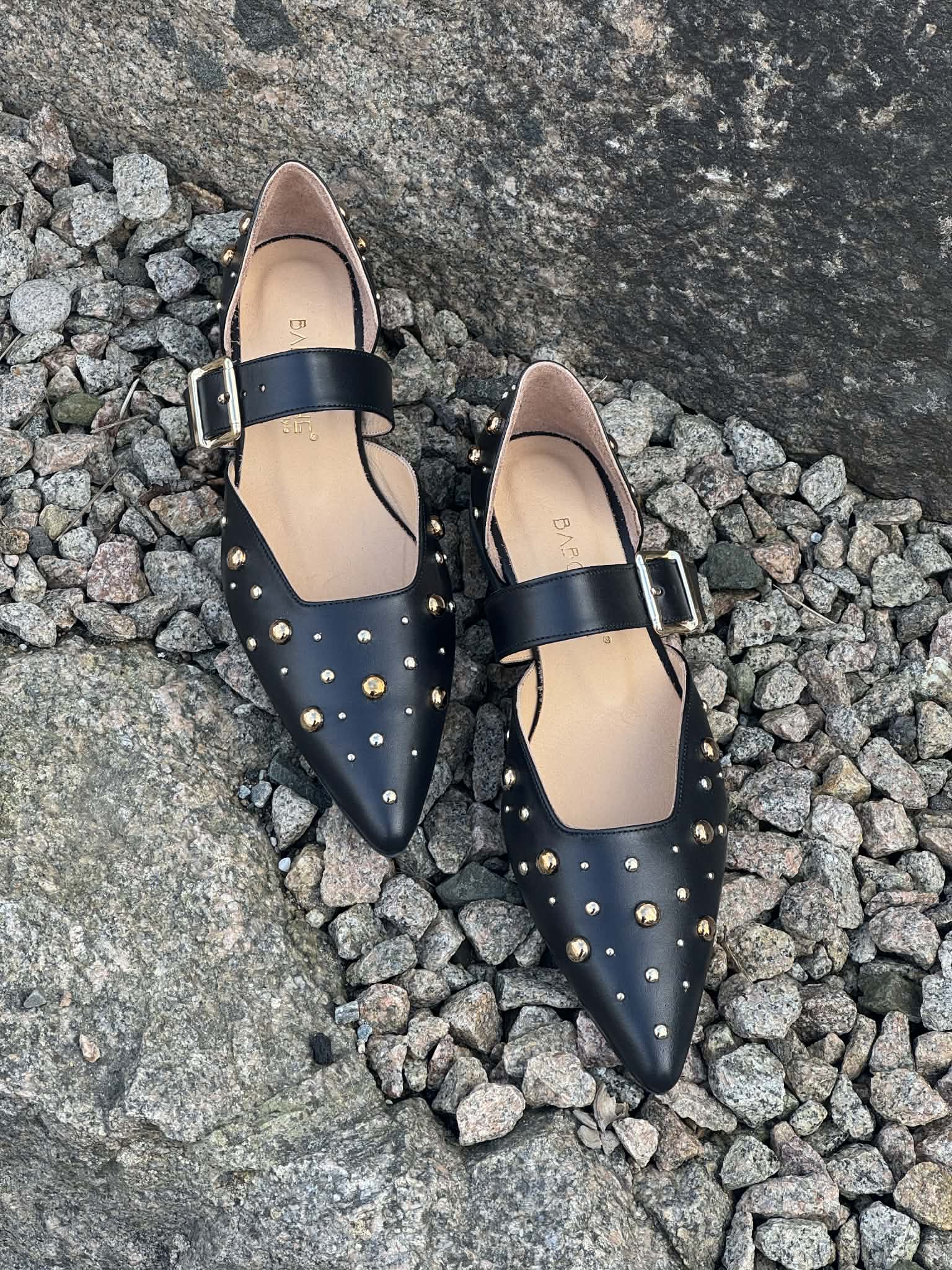 24 Kriho Sko og Vesker